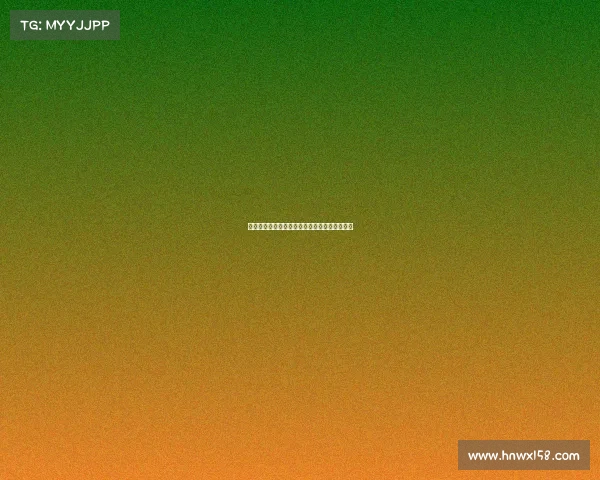 网球比赛现场秩序管理的重要性与实施策略分析